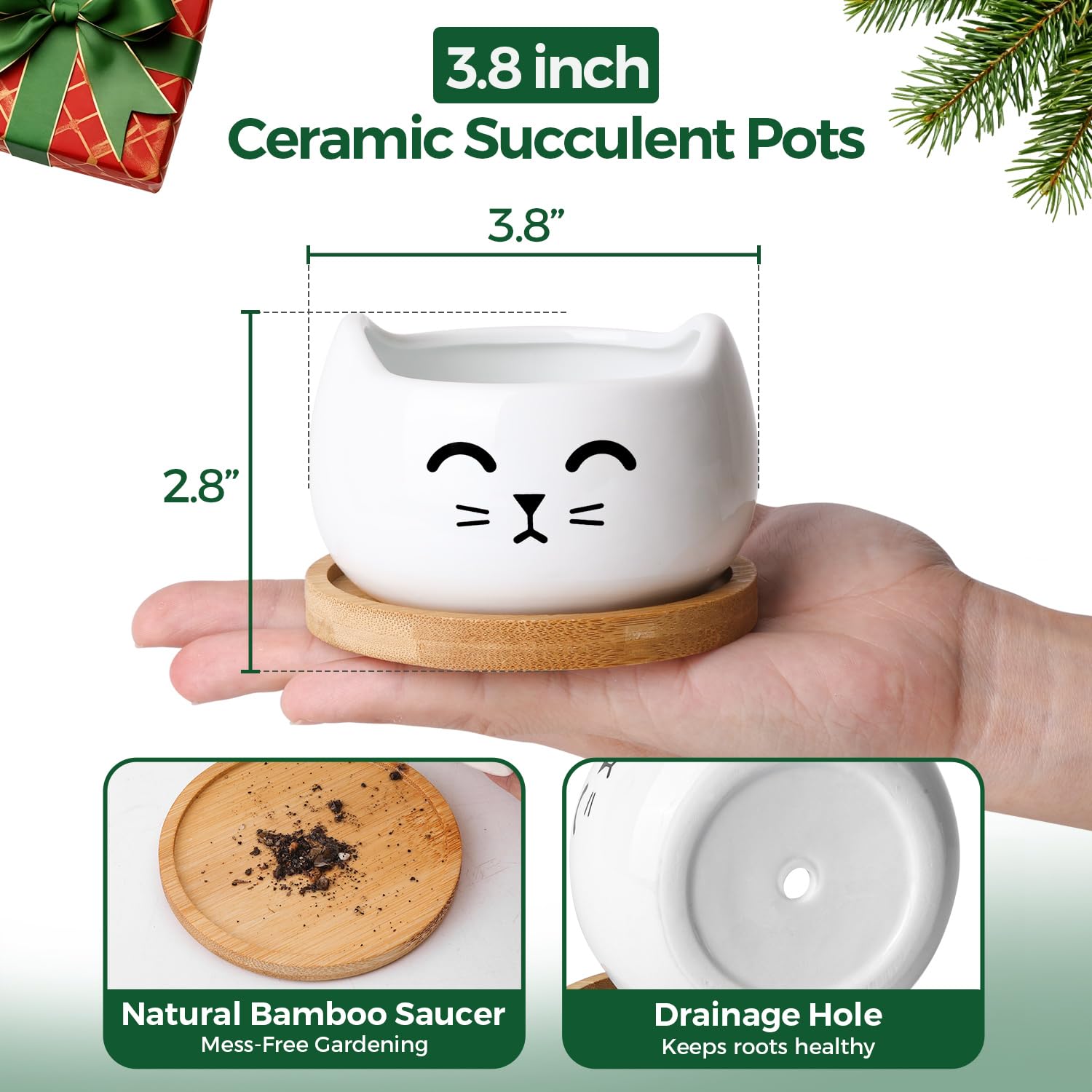 T4U cat planter bamboo tray catches excess water and keeps surfaces clean.