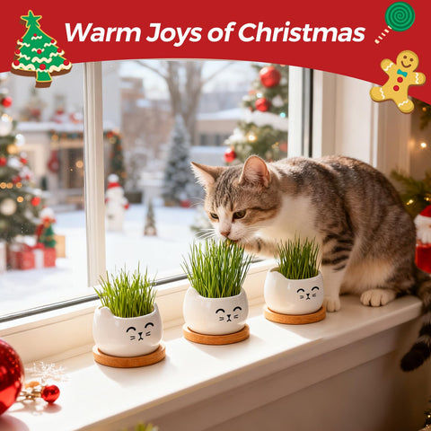 T4U cat planter with multiple sets shown for cute home display.