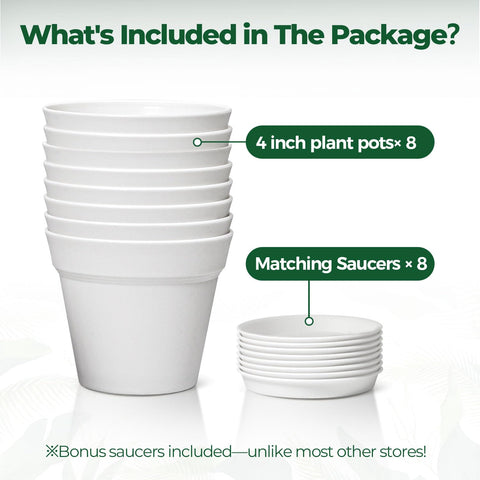 T4U compact 4-inch pot for herbs, succulents, and small plants.