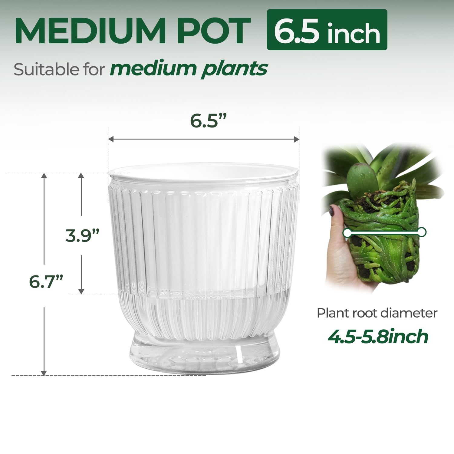 T4U self-watering mechanism with cotton rope delivers steady moisture to soil for thriving greens.