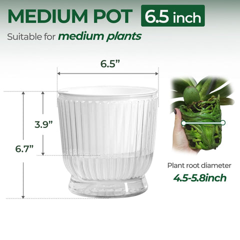 T4U self-watering mechanism with cotton rope delivers steady moisture to soil for thriving greens.