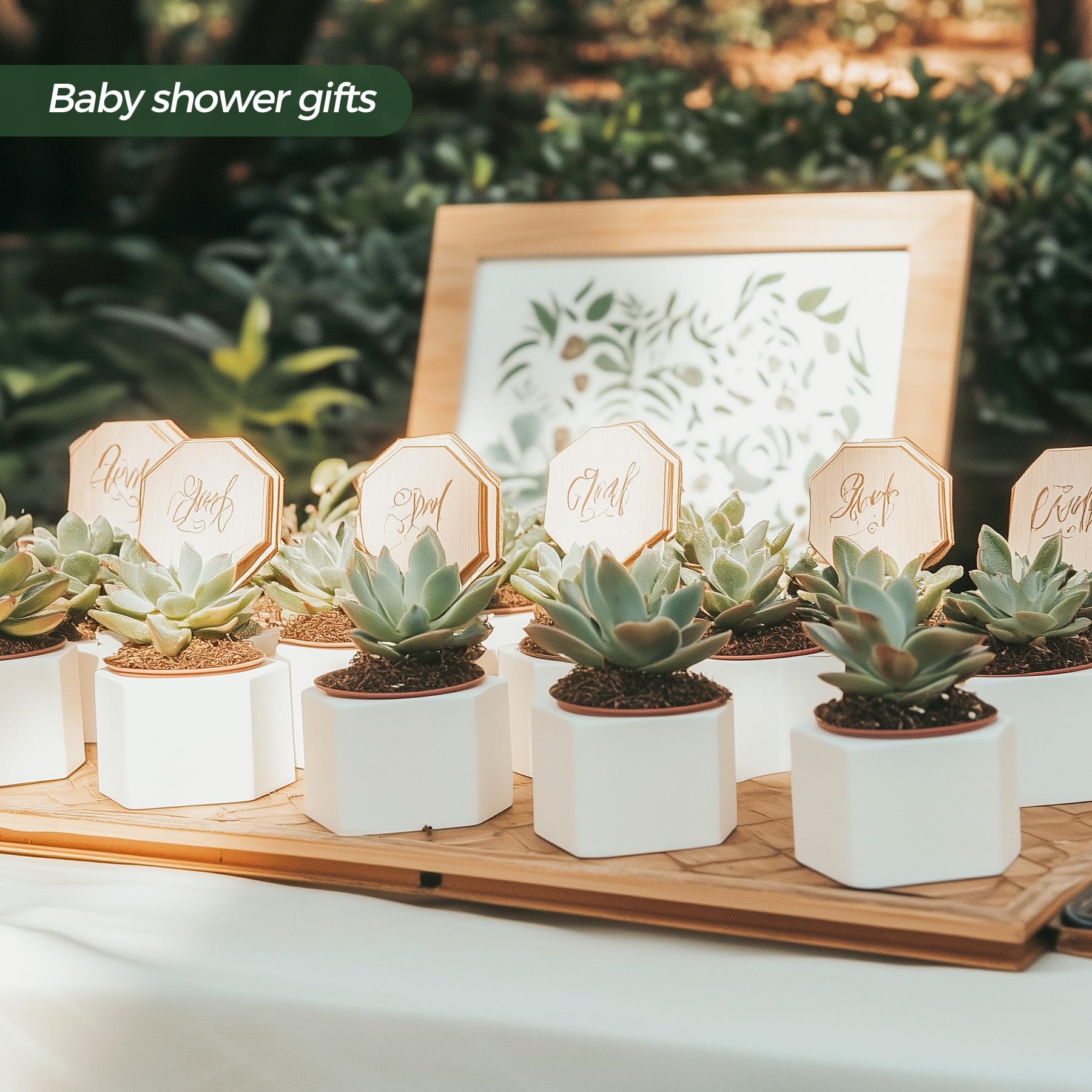 T4U desk and office decor planters elevate workspace with greenery.