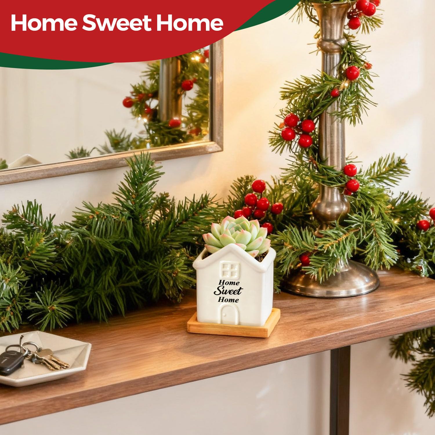 T4U desk shelf windowsill planter adds natural charm to any space
