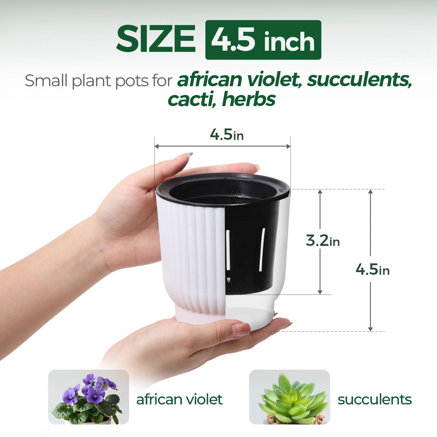 T4U dual-layer base pot supporting 7–10 days of hydration.