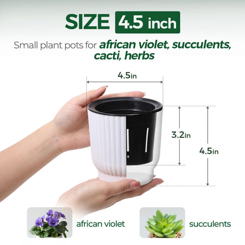 T4U dual-layer base pot supporting 7–10 days of hydration.