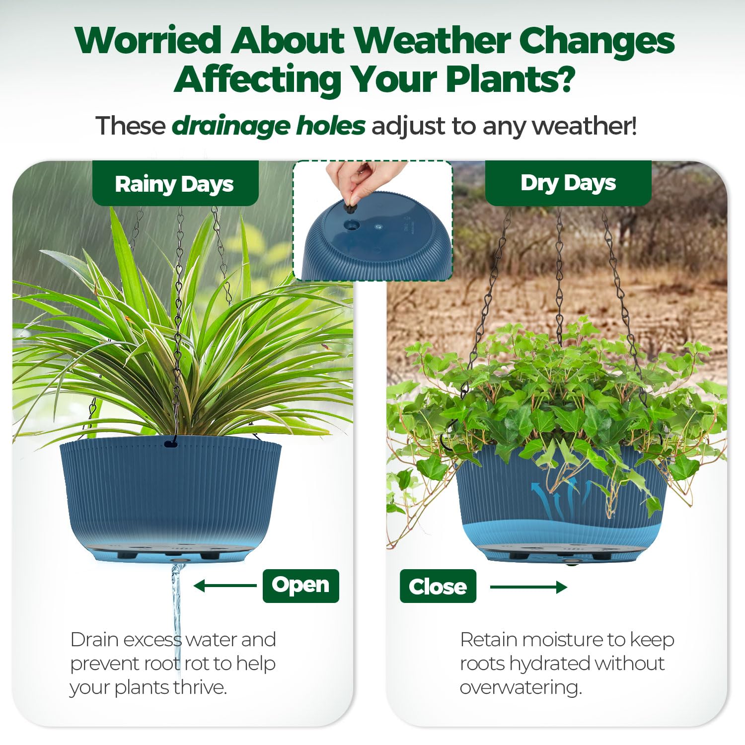 T4U durable 6 kg capacity hanging planter keeps plants secure.