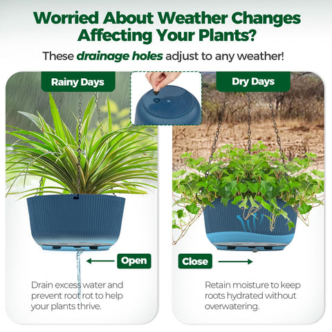 T4U durable 6 kg capacity hanging planter keeps plants secure.