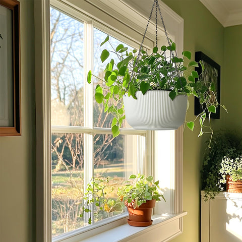 T4U easy-to-install hanging chain for quick setup.