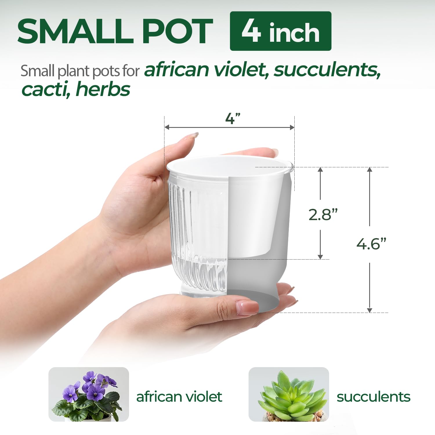 T4U 4-inch self-watering pot with water level indicator improves plant care at a glance
