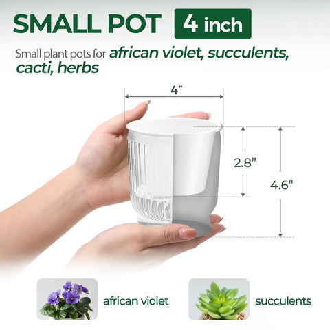 T4U 4-inch self-watering pot with water level indicator improves plant care at a glance