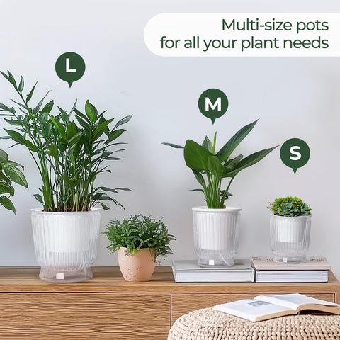 T4U four-pack self-watering pots ready for quick setup