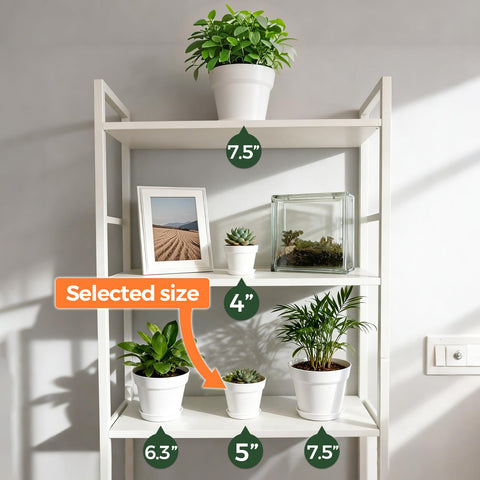 Gift-ready T4U plant pot bulk set for plant lovers and DIY personalization