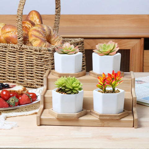 T4U gift-ready planter set, ideal for gardeners and coworkers.