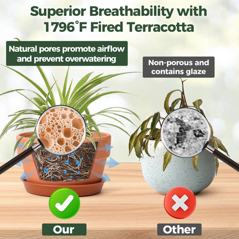 T4U terracotta pot as a stylish gift for plant lovers