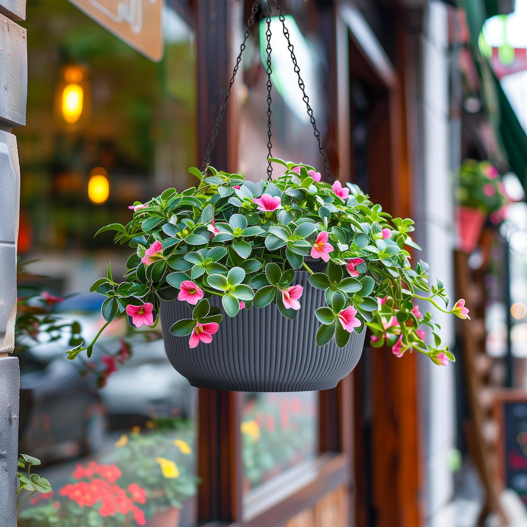 T4U flowers and foliage displayed in grey hanging planter