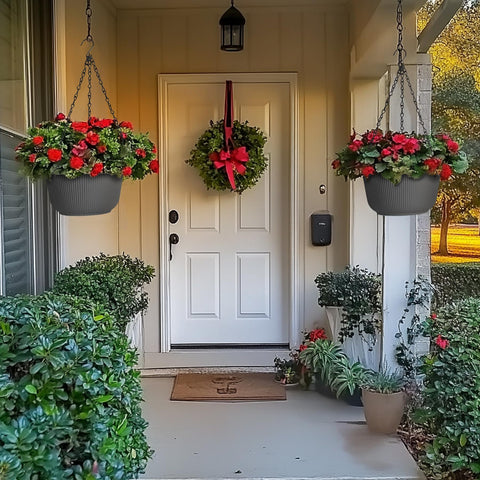 T4U hanging planter for spider plant and ivy setups