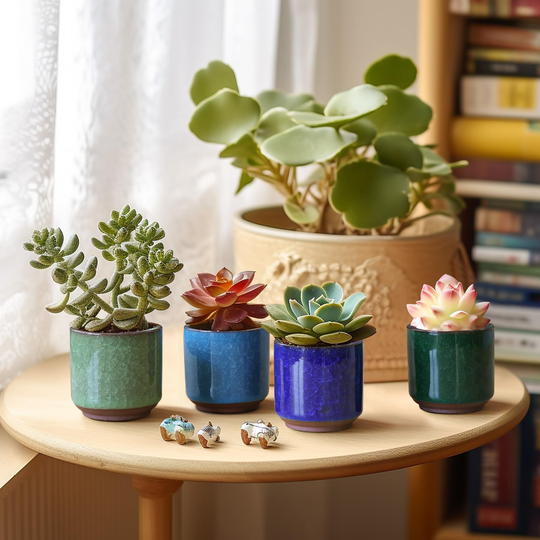 T4U home office decor pot adds a touch of elegance.