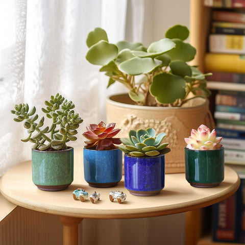 T4U home office decor pot adds a touch of elegance.