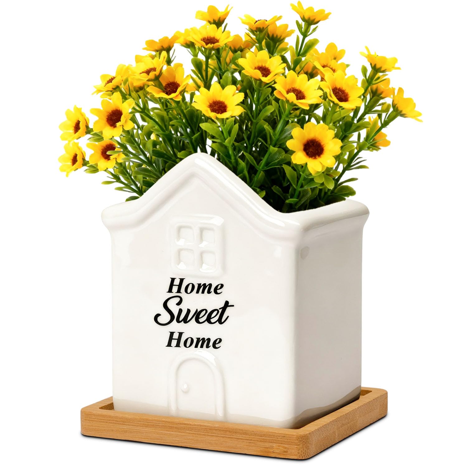 T4U 3.5 inch succulent pot with drainage for small plants on a desk