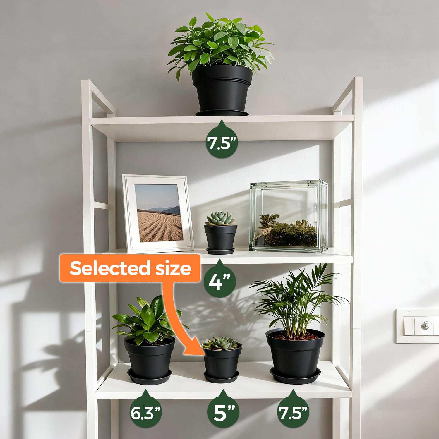 T4U ideal gift for plant lovers, ready to personalize