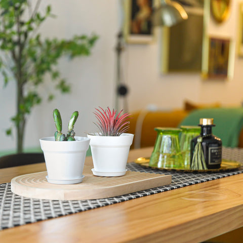 T4U indoor-outdoor plant display kit with 18 pots.