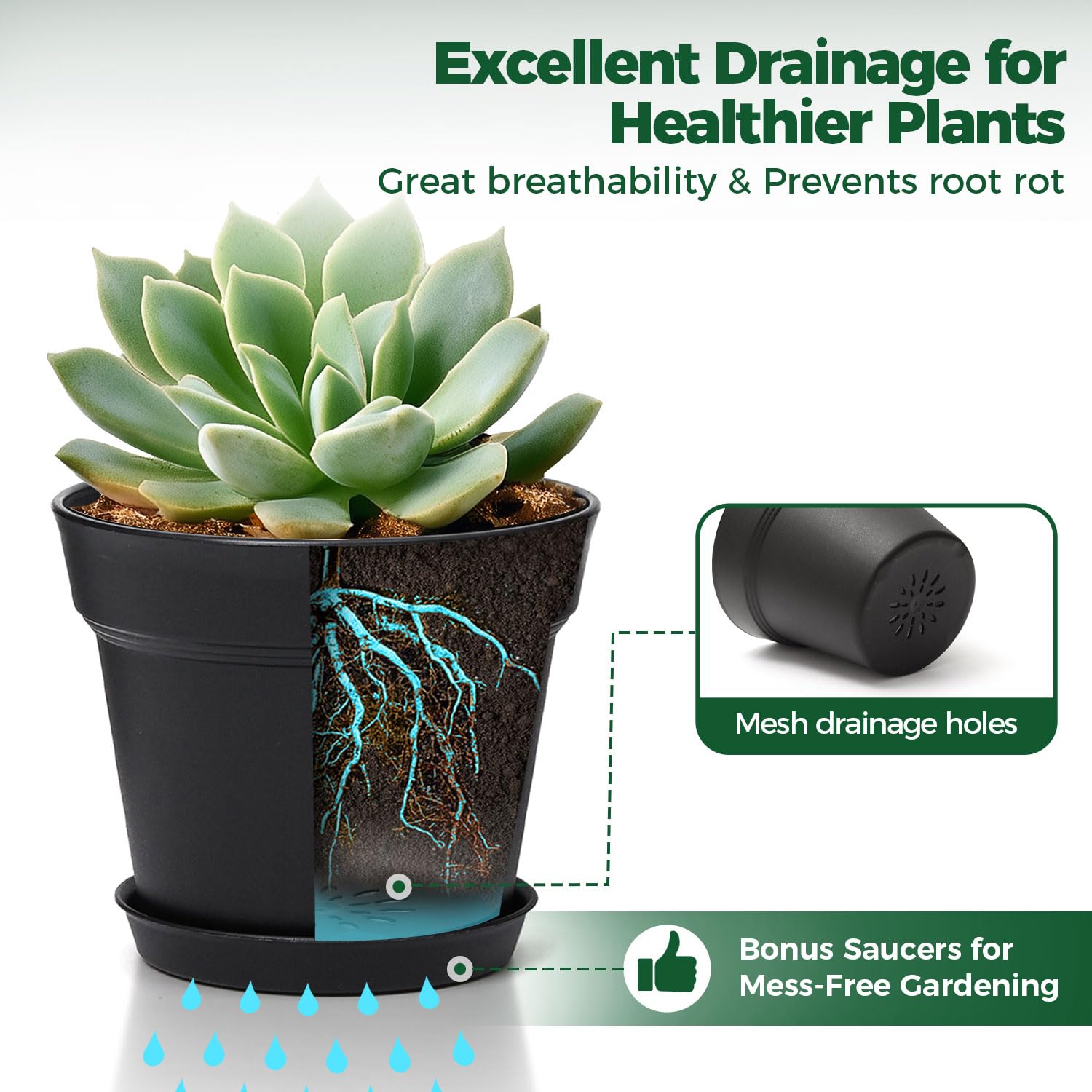 T4U indoor-outdoor plant pots ideal for small plants in any space.