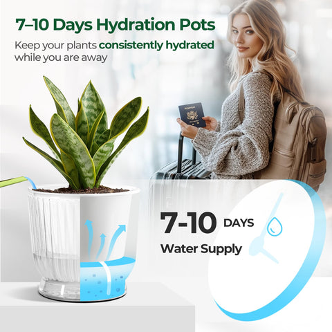 T4U indoor setup featuring 4-inch self-watering pots on a desk