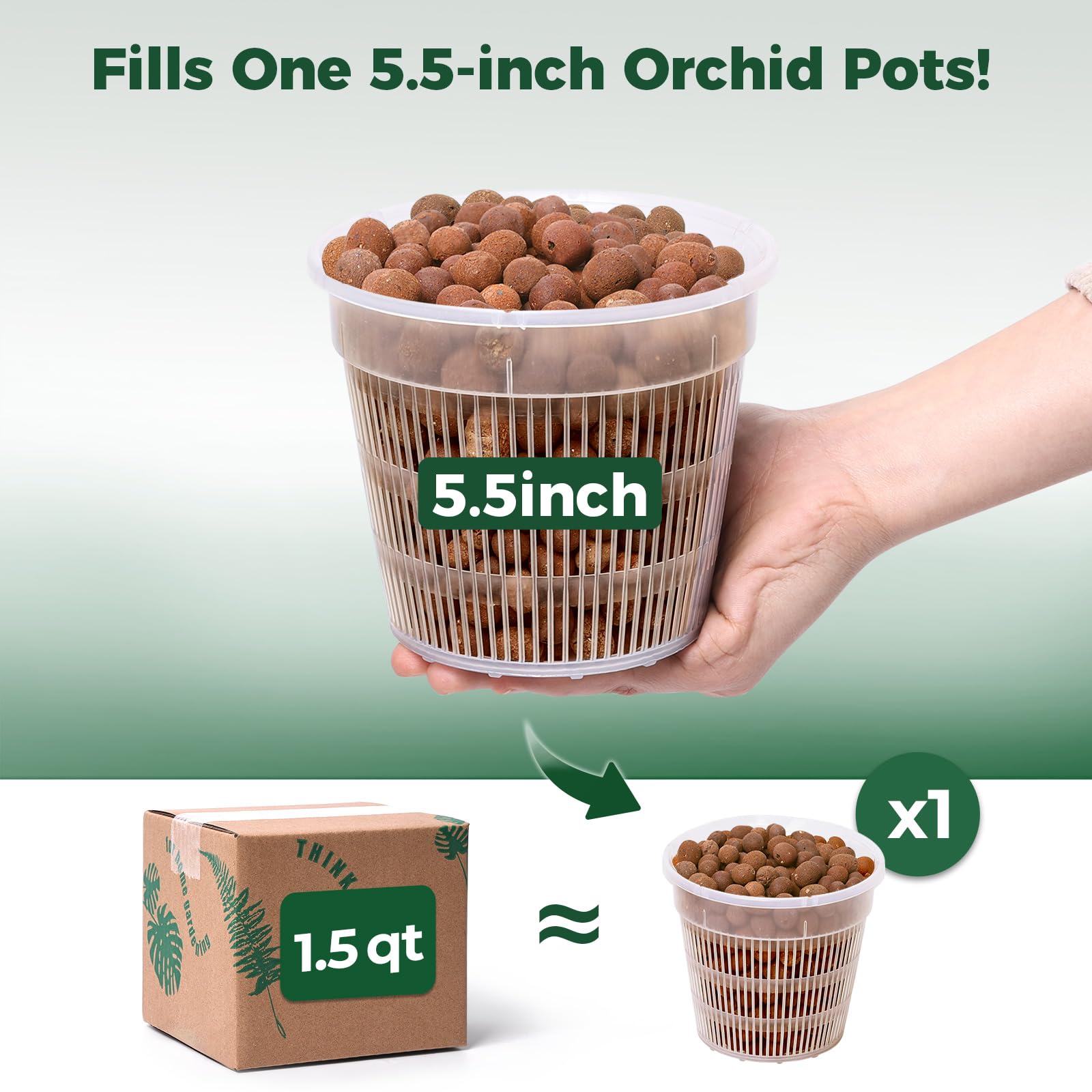 T4U Leca pebbles in an orchid pot for improved drainage