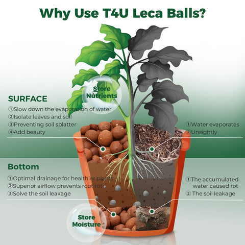 T4U Leca pebbles in a potting mix for better soil structure