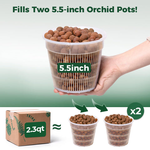 T4U Leca pebbles drainage-layer setup in a pot for better root aeration