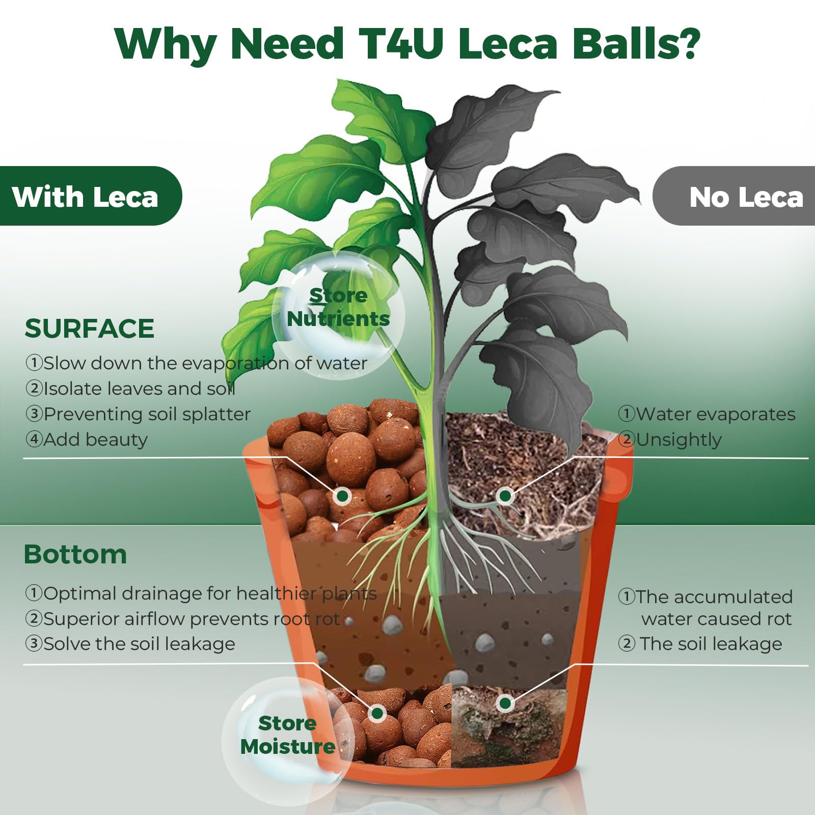 T4U Leca pebbles used in an orchid potting mix for drainage.