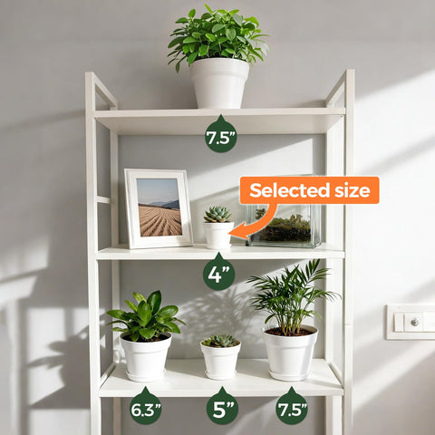 T4U matte-finish minimalist design pot for modern decor.