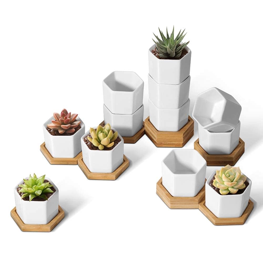 T4U mini white hexagon planter pots with bamboo tray for stylish desk plant displays.