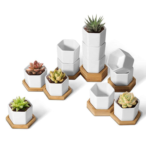 T4U mini white hexagon planter pots with bamboo tray for stylish desk plant displays.