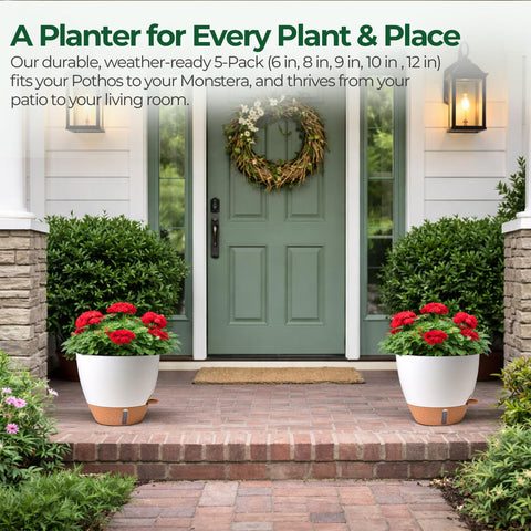T4U mixed-size self-watering set creates cohesive indoor/outdoor displays