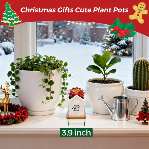 T4U multi purpose planter doubles as a candle holder and decor
