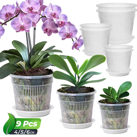 T4U Orchid Pot 4.3-inch view with clear walls for easy root inspection.