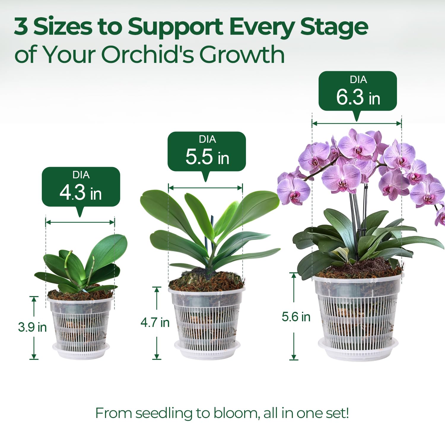 T4U Orchid Pot 5.5-inch size highlighting versatility for mid-size orchids.