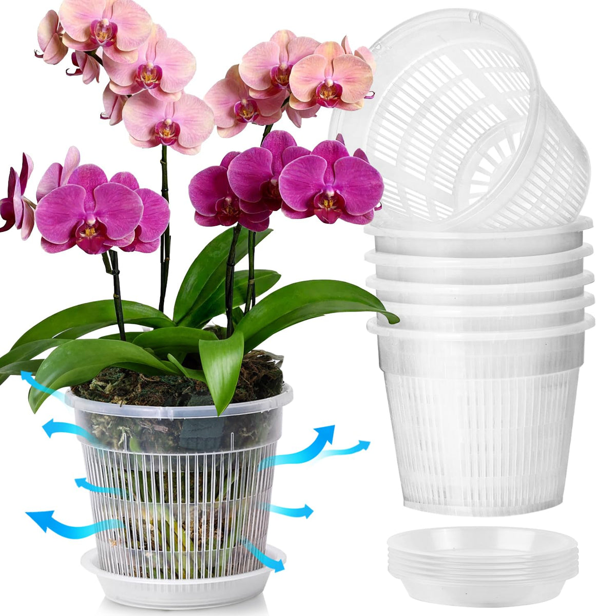 T4U orchid pot 6.3-inch clear for easy root monitoring and watering