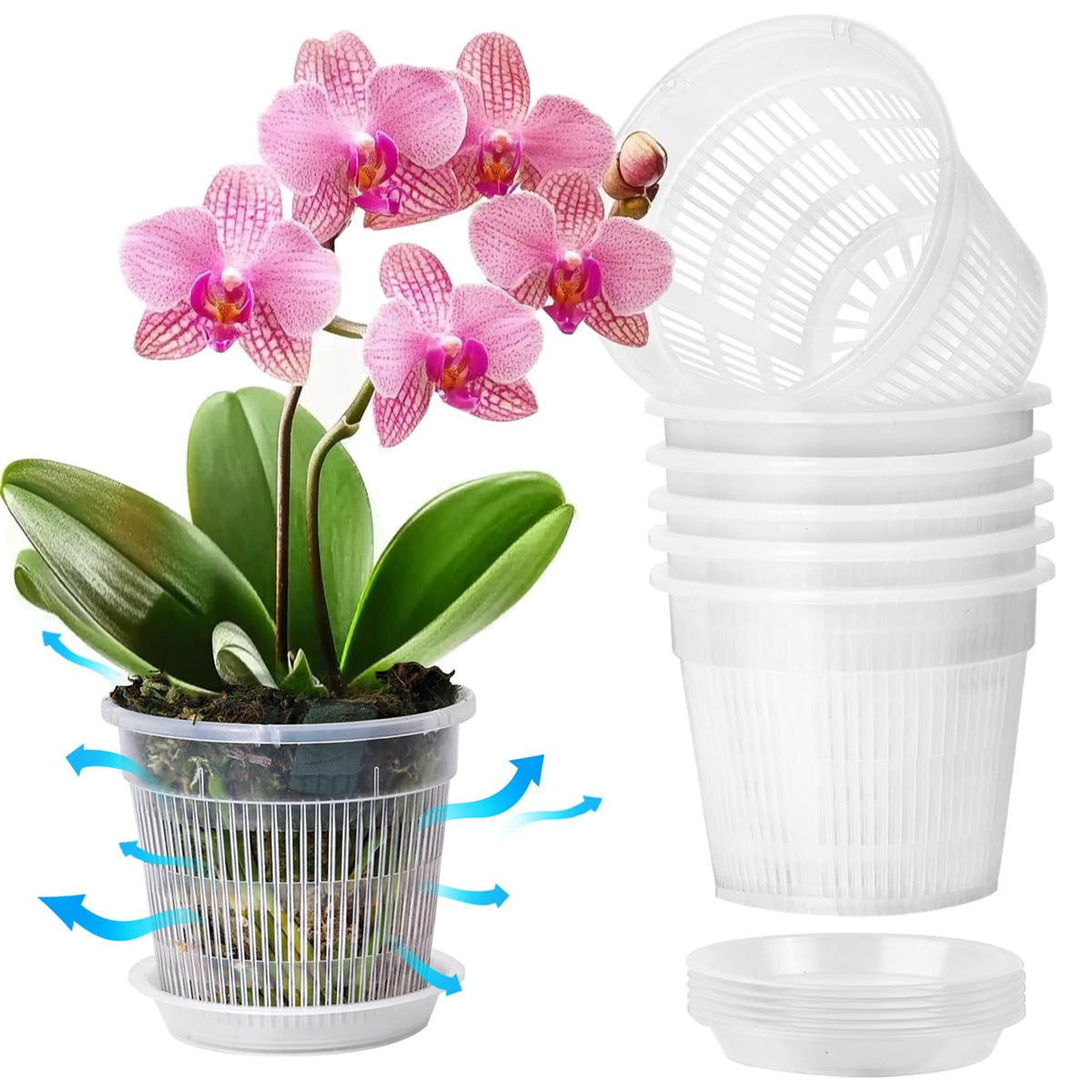 T4U orchid pot six-pack with clear 4.3-inch pots for easy root monitoring.