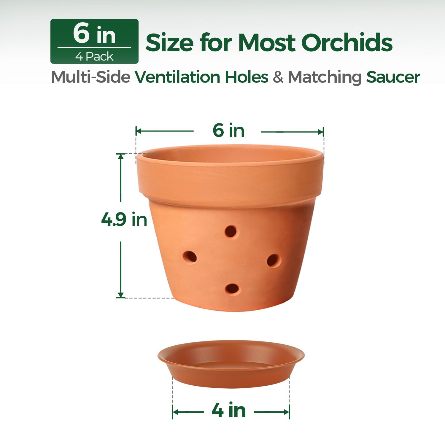 T4U 6inch orchid pot close-up highlighting unglazed texture and media-friendly holes for roots