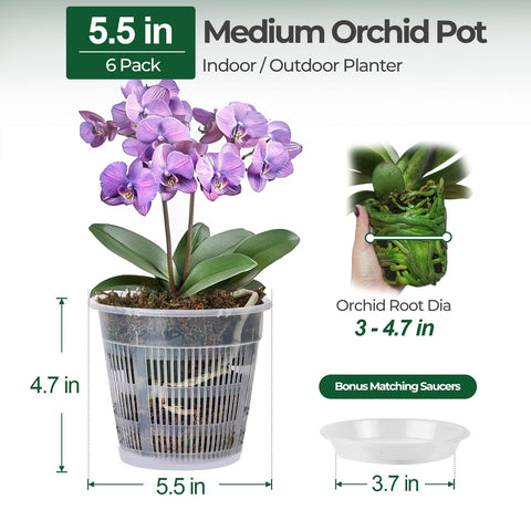 T4U orchid pot with drainage holes for balanced moisture control