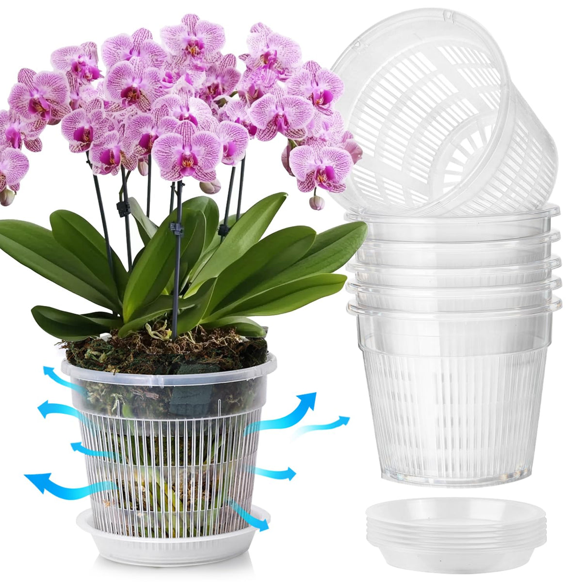 T4U orchid pot 7.5-inch clear with holes for airflow and drainage