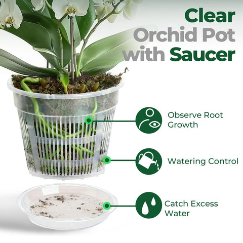 T4U 7.5-inch pot with holes for efficient watering and aeration