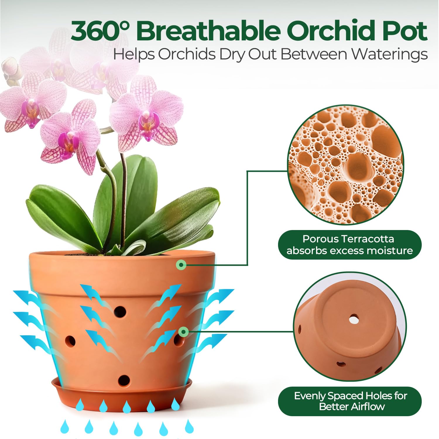 T4U orchid pot 9-hole design promotes airflow while keeping media in place