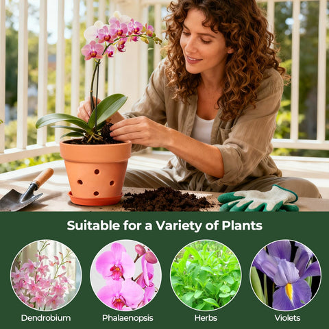 T4U orchid pot collection shows four pots ready for orchid growers