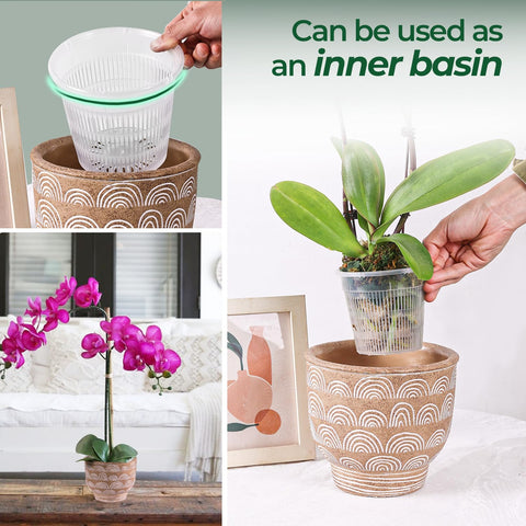 T4U orchid pot complete set for tidy repotting and care.