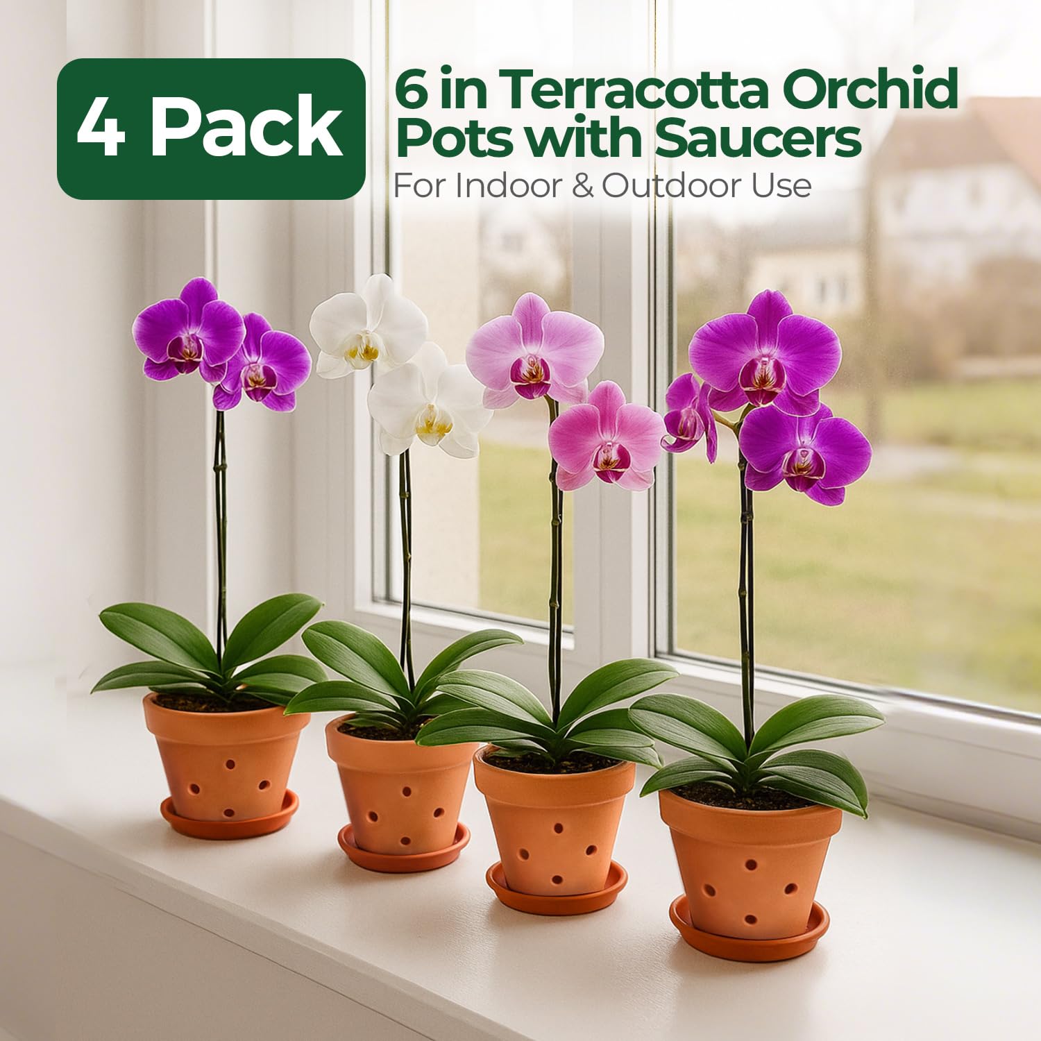 T4U sturdy terracotta orchid pots provide stable, durable housing