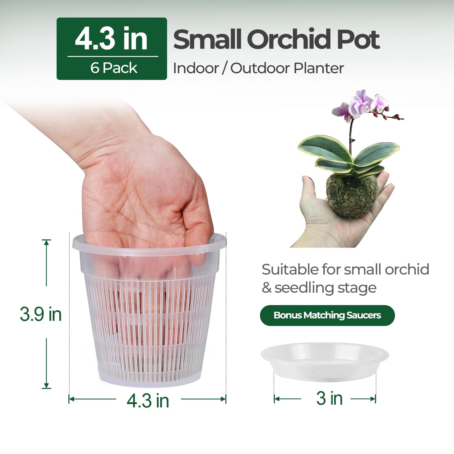 T4U orchid pot with drainage holes promotes airflow and prevents overwatering.