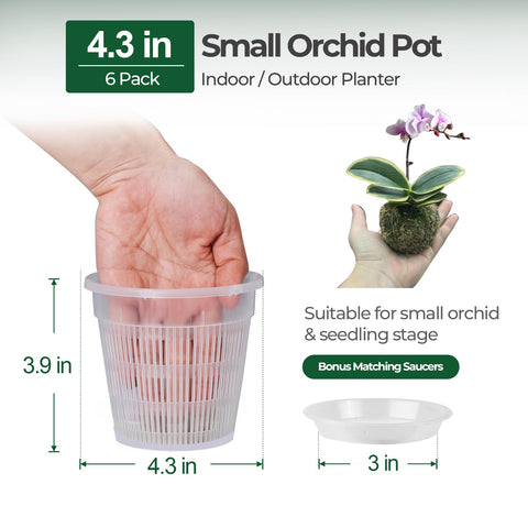 T4U orchid pot with drainage holes promotes airflow and prevents overwatering.